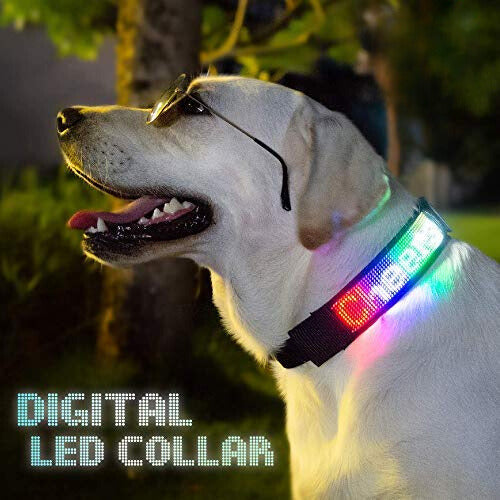 Bluetooth LED Light-Up Dog Collar with GPS & Customizable Display - PawsMartOnline