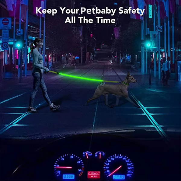 LED Dog Leash - Stay Safe and Visible, Day or Night - PawsMartOnline