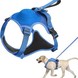 Blue- Dog Harness and Leash - Comfortable and Secure Walking