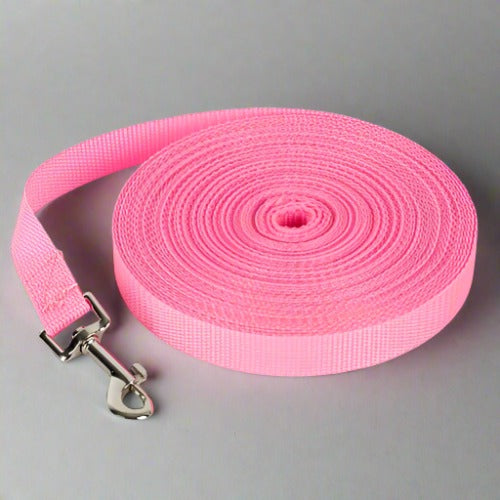 Nylon Leash - Long-Lasting and Comfortable for Daily Walks - PawsMartOnline Pink / 4Ft x 1" Wide