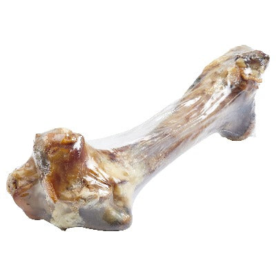 Grass-Fed Beef Femur - PawsMartOnline Pets