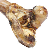 Grass-Fed Beef Femur - PawsMartOnline Pets