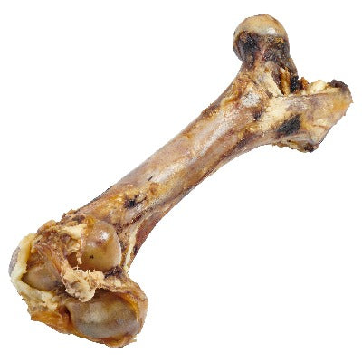 Grass-Fed Beef Femur - PawsMartOnline Pets