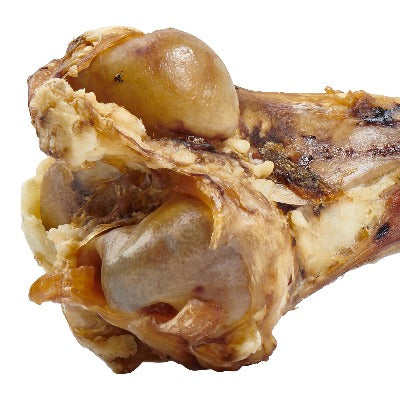 Grass-Fed Beef Femur - PawsMartOnline Pets