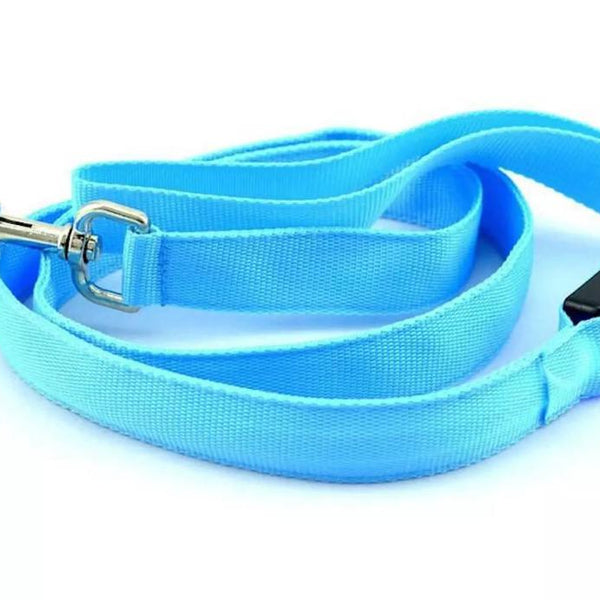 LED Dog Leash - Stay Safe and Visible, Day or Night - PawsMartOnline BLUE / Battery version