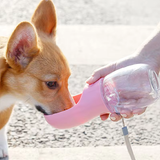 On-the-Go Hydration: Portable Dog Water Bottle - PawsMartOnline