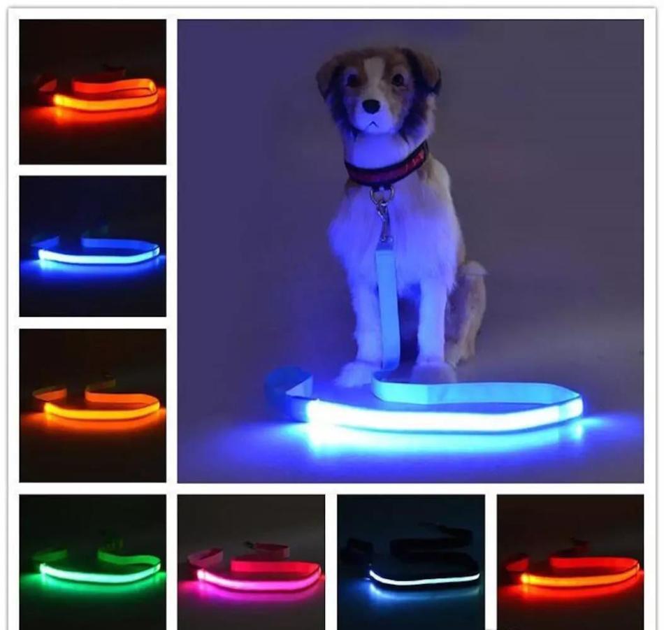 LED Dog Leash - Stay Safe and Visible, Day or Night - PawsMartOnline