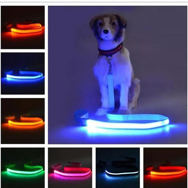 LED Dog Leash - Stay Safe and Visible, Day or Night - PawsMartOnline