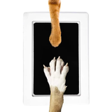 Non-Toxic Paw Print Pad - PawsMartOnline