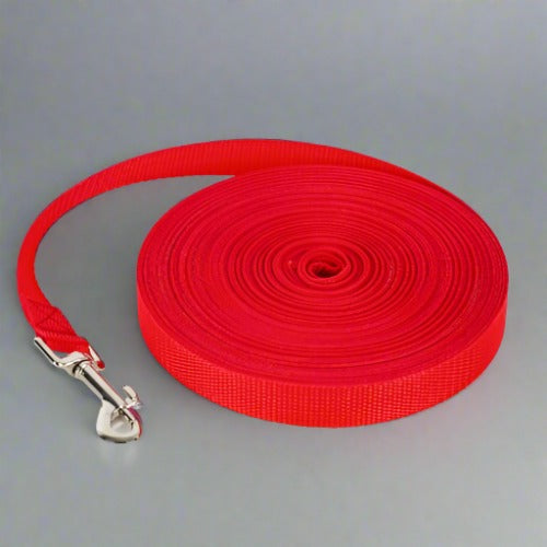 Nylon Leash - Long-Lasting and Comfortable for Daily Walks - PawsMartOnline Red / 4Ft x 1" Wide