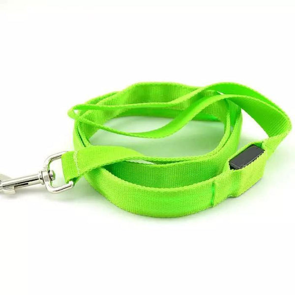 LED Dog Leash - Stay Safe and Visible, Day or Night - PawsMartOnline GREEN / Battery version