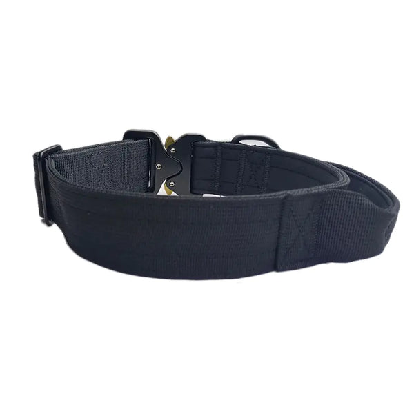 Adjustable Nylon Collar and Leash Set – Durable and Versatile - PawsMartOnline