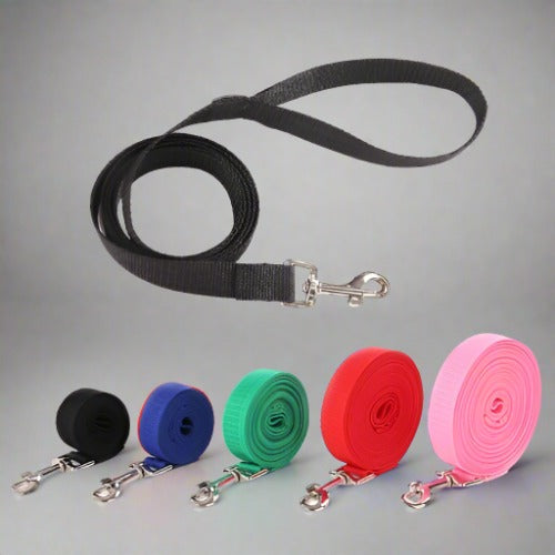 Nylon Leash - Long-Lasting and Comfortable for Daily Walks - PawsMartOnline