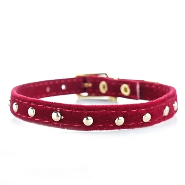 Cat Collar and Kitten Collar - PawsMartOnline Red with Rivets / 8.5-10.5"