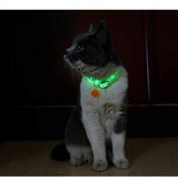 Glow in the Dark Cat Collar - Safe and Stylish for Nighttime - PawsMartOnline