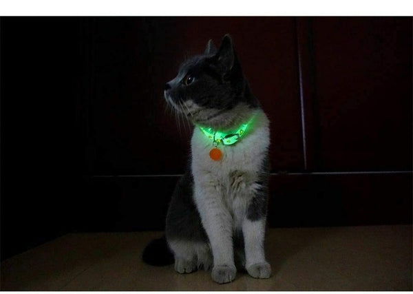 Glow in the Dark Cat Collar - Safe and Stylish for Nighttime - PawsMartOnline