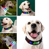 Bluetooth LED Light-Up Dog Collar with GPS & Customizable Display - PawsMartOnline