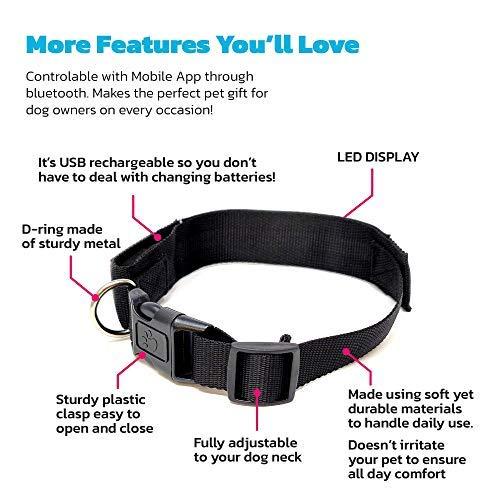 Bluetooth LED Light-Up Dog Collar with GPS & Customizable Display - PawsMartOnline