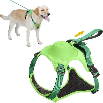 Green- Dog Harness and Leash - Comfortable and Secure Walking