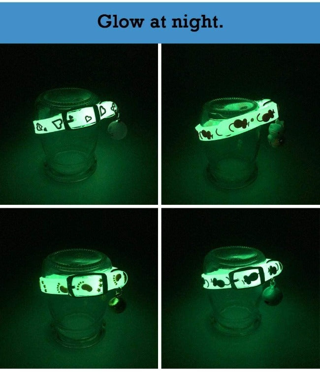 Glow in the Dark Cat Collar - Safe and Stylish for Nighttime - PawsMartOnline