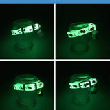 Glow in the Dark Cat Collar - Safe and Stylish for Nighttime - PawsMartOnline