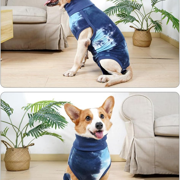 Comfort & Care Post-Surgery Dog Onesie - PawsMartOnline Petcare