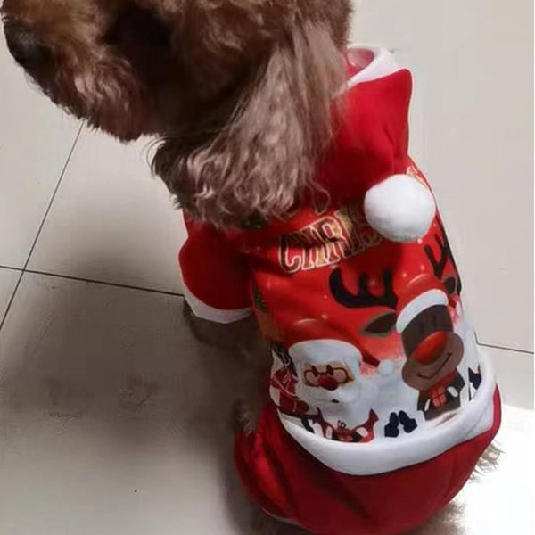 Adorable Dog Christmas Outfit