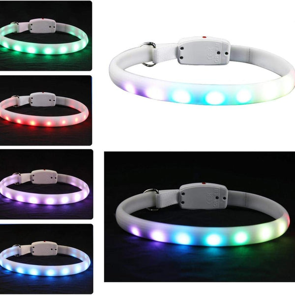 Flashing Glow Dog Collar - PawsMartOnline