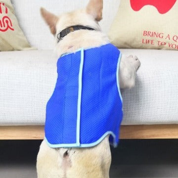 Dog Cooling Suit - Soft, Comfortable, and Durable - PawsMartOnline