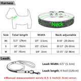 Leather Dog Collar Leash Set - Stylish for Small to Medium Pets - PawsMartOnline