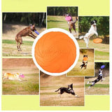 dogs playing with- Soft Rubber Frisbee