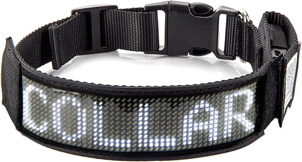 Bluetooth LED Light-Up Dog Collar with GPS & Customizable Display - PawsMartOnline White / 7-9.5 inches