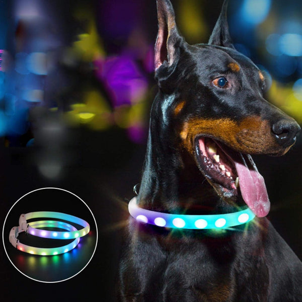 Flashing Glow Dog Collar - PawsMartOnline