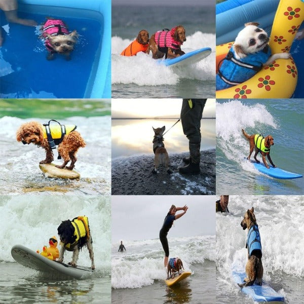 Life Vest for Dogs - Ensure Safety and Style in Water Adventures