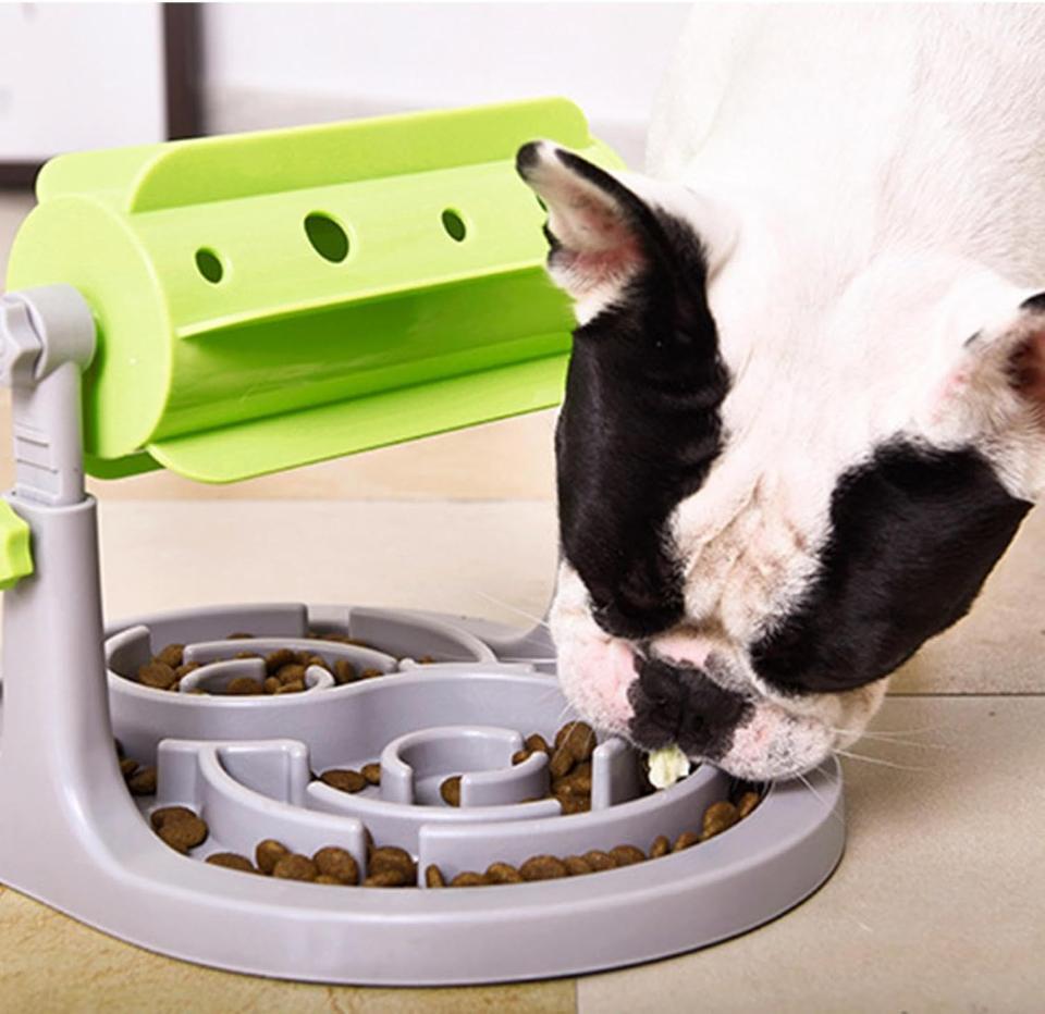 Interactive Puzzle Cat Feeder - Slow Eating Bowl for Cats and Dogs - PawsMartOnline Pets