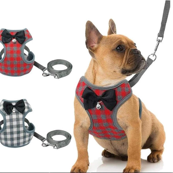 Bowknot Mesh Padded Dog Harness and Leash Set – Stylish, Breathable - PawsMartOnline