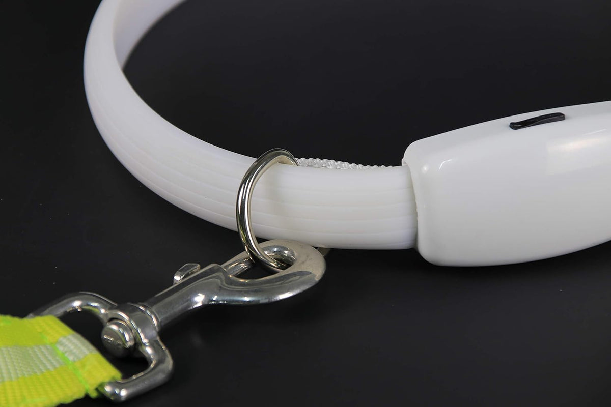 Flashing Glow Dog Collar - PawsMartOnline