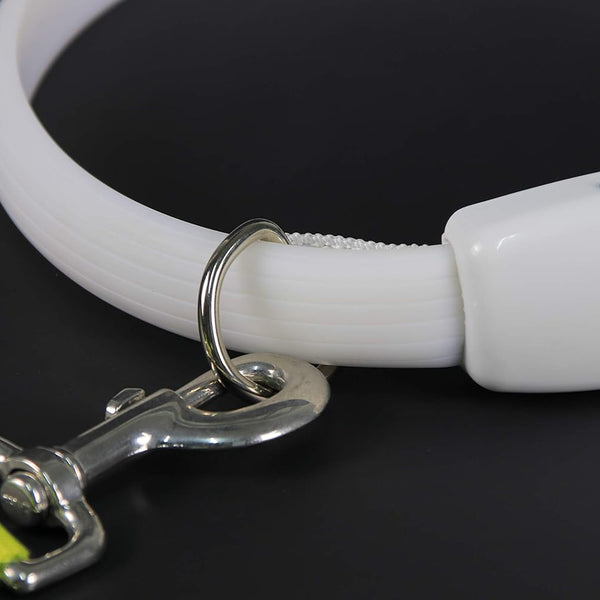 Flashing Glow Dog Collar - PawsMartOnline