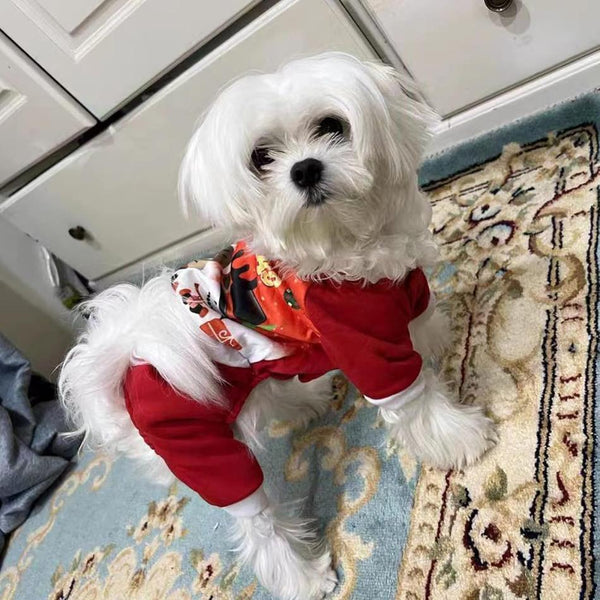 Adorable Dog Christmas Outfit