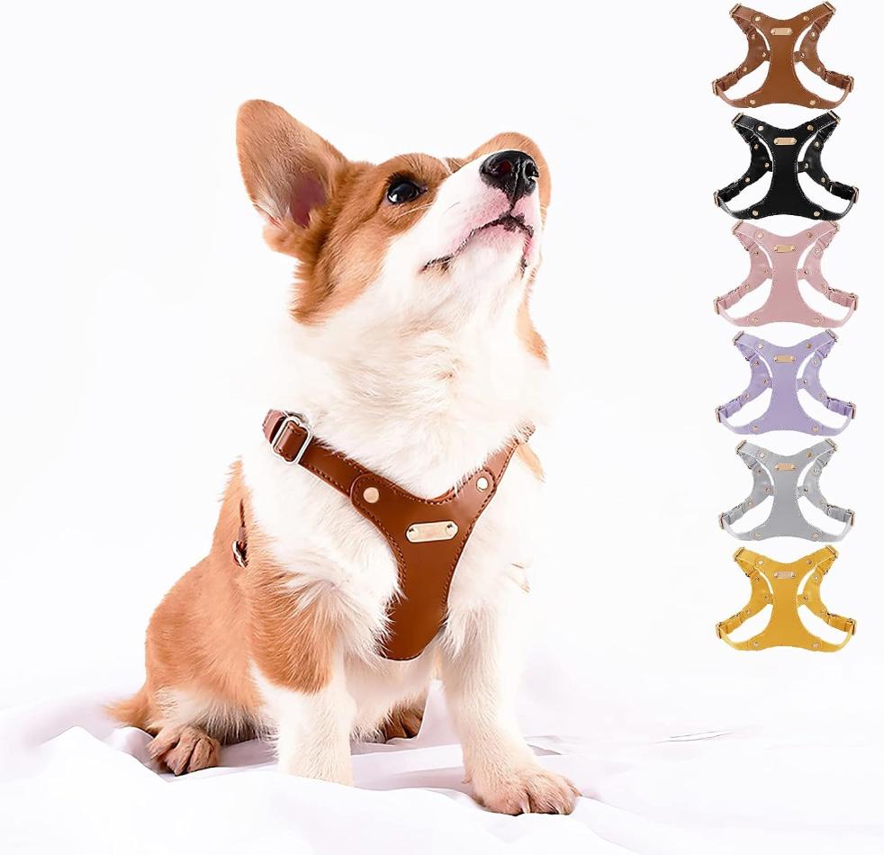 Leather Dog Harness with Custom Engraving