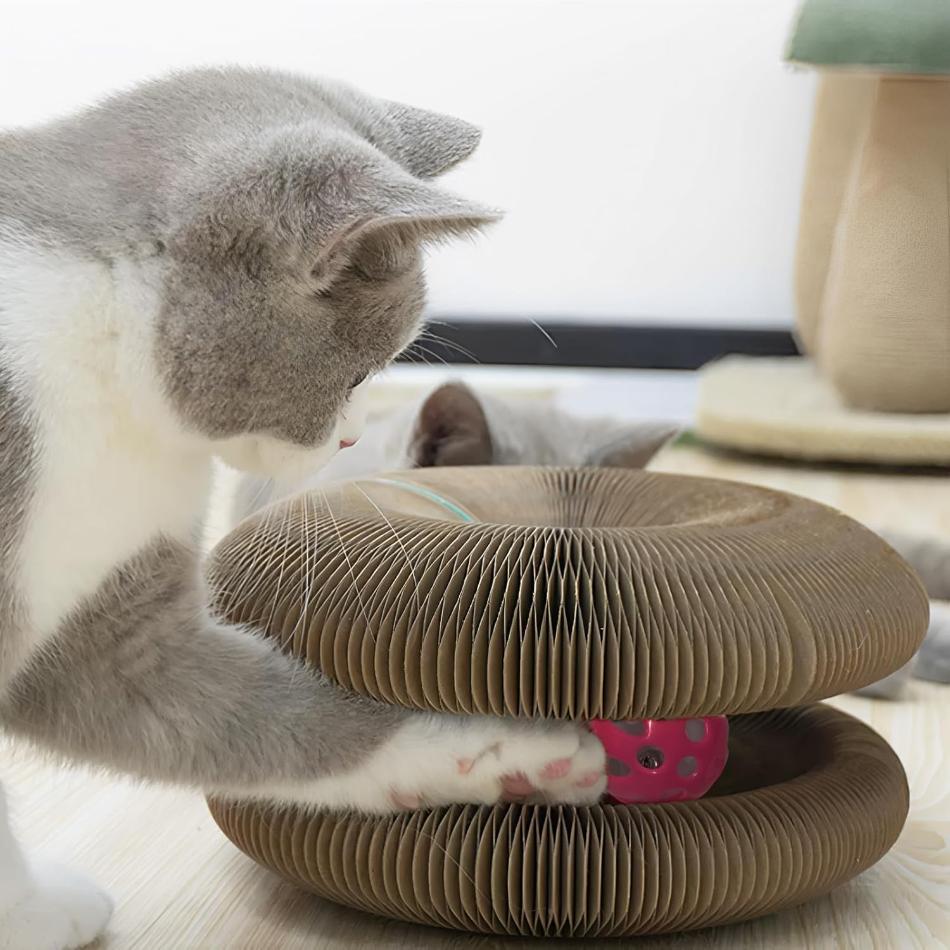 Cat Scratching Toy - Multifunctional Scratcher, and Play Center - PawsMartOnline