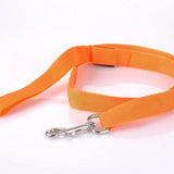 LED Dog Leash - Stay Safe and Visible, Day or Night - PawsMartOnline ORANGE / Battery version