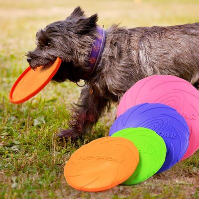 Soft Rubber Frisbee
