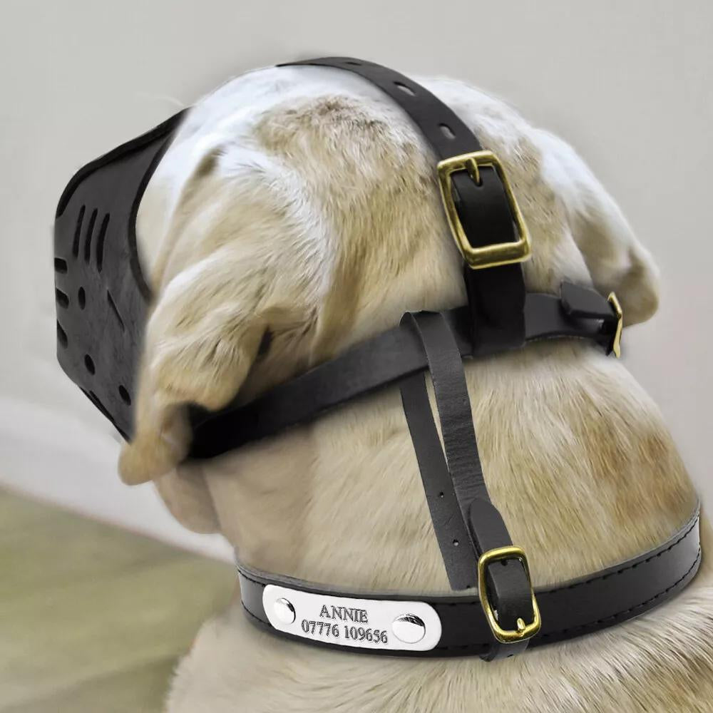 Anti-Bite Training Muzzle – Secure, Comfortable, and Durable - PawsMartOnline