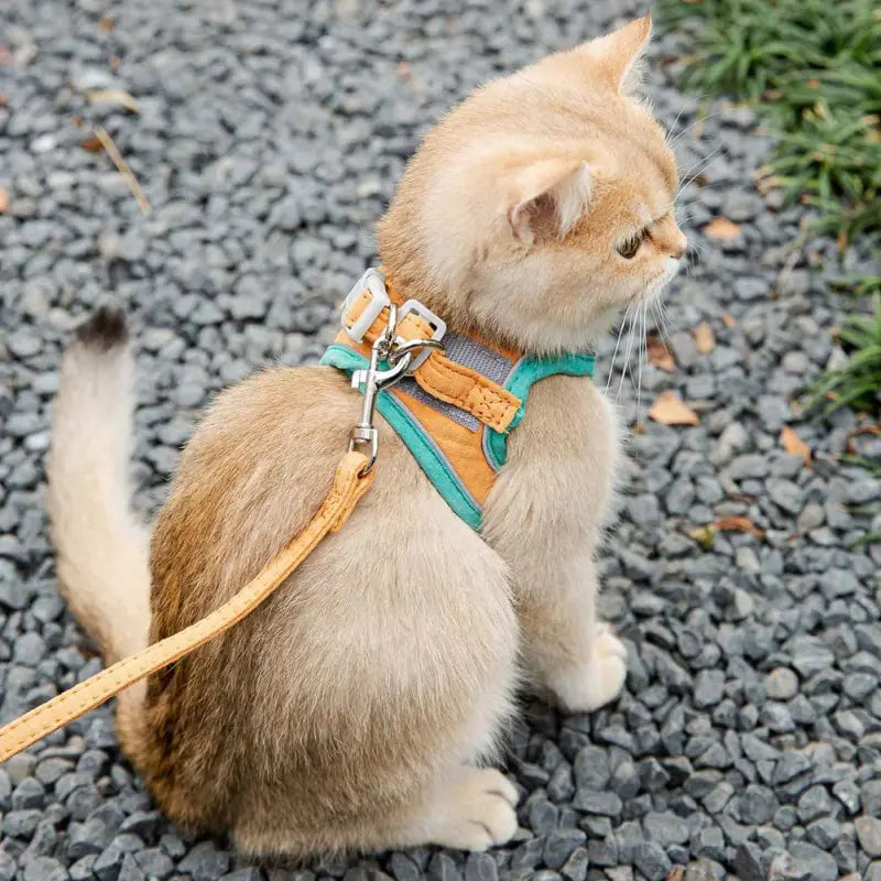 Cat Harness & Leash Set – Soft, Adjustable, and Reflective - PawsMartOnline