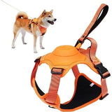 Orange- Dog Harness and Leash - Comfortable and Secure Walking