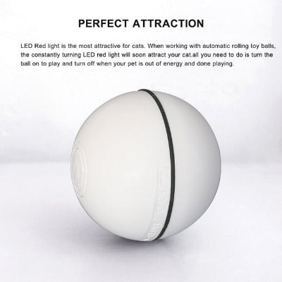 CatSmart Interactive Ball - PawsMartOnline White