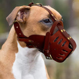 Anti-Bite Training Muzzle – Secure, Comfortable, and Durable - PawsMartOnline