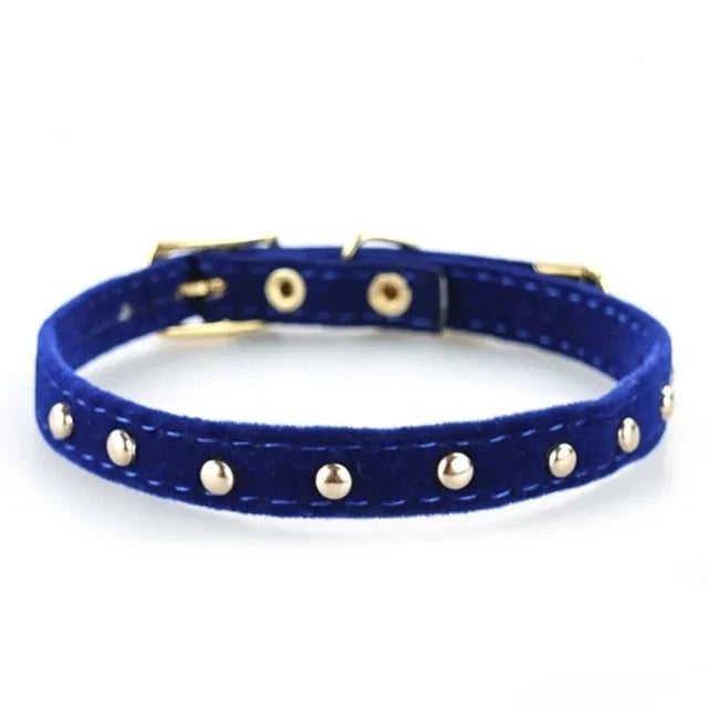 Cat Collar and Kitten Collar - PawsMartOnline Blue with Rivets / 8.5-10.5"