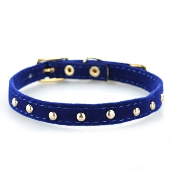 Cat Collar and Kitten Collar - PawsMartOnline Blue with Rivets / 8.5-10.5"